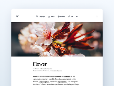 Wikipedia Desktop Layout 2020 app app design art minimal minimalistic typography ui ux web wiki