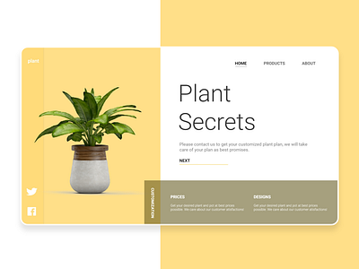 Plant Website UI design