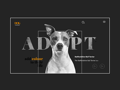 Pet website UI design branding pet adoption website design pet website pet website design examples ui ui design web design trends web design trends 2021
