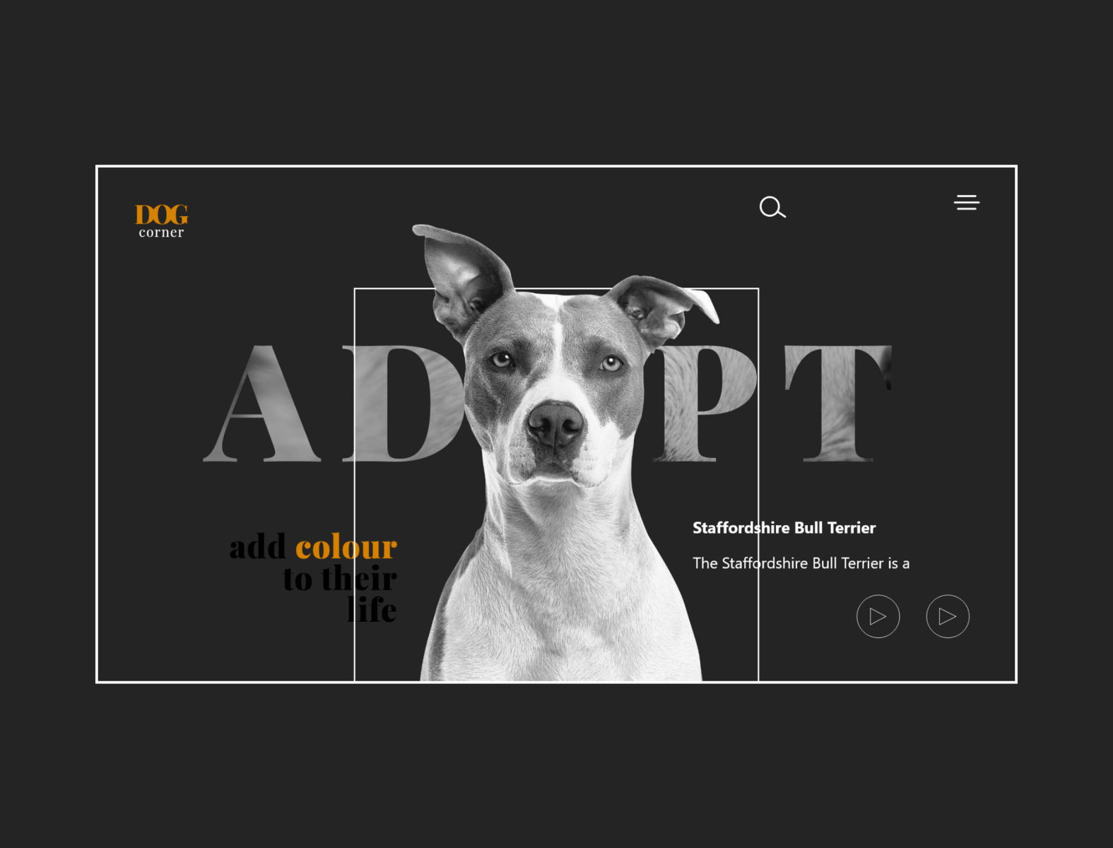 pet-website-ui-design-by-nagib-al-sadik-on-dribbble