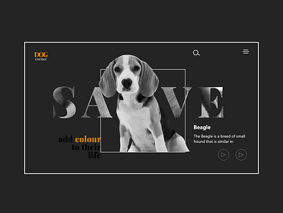 Pet Website UI Design best pet website design landing page pet store website design pet website design pet website ui design pet website ui design ui design ui ux user experience design user interface design website design