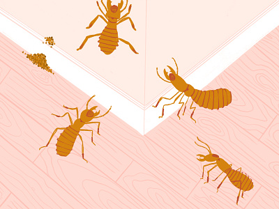 Termites bug buggy bugs illustration ipad pest procreate termites wood