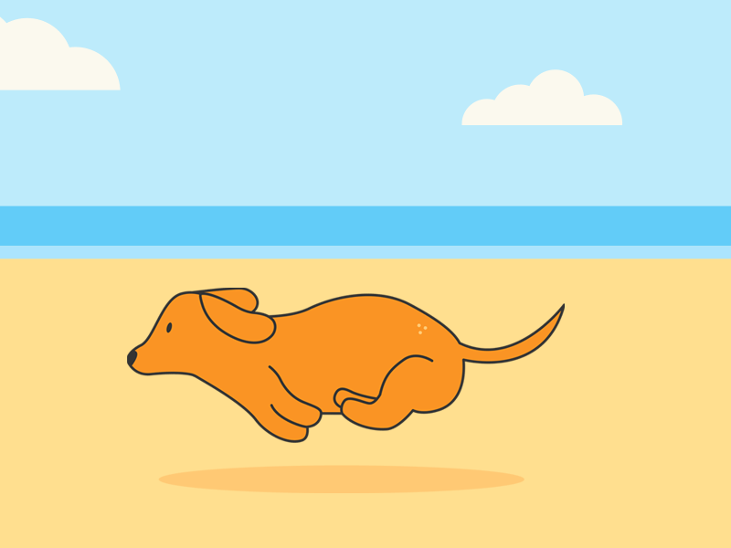 dog days of summer beach dachshund dog days summer wiener dog