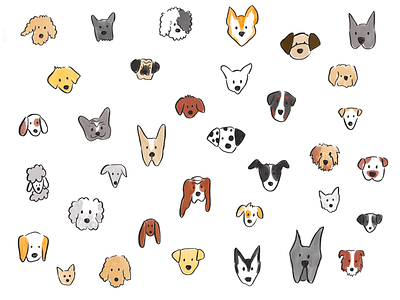 dog doodles animals dog dogs fluffs pattern puppy