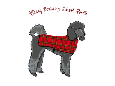 Fancy Boarding School Poodle dog illustration plaid poodle procreate puppy