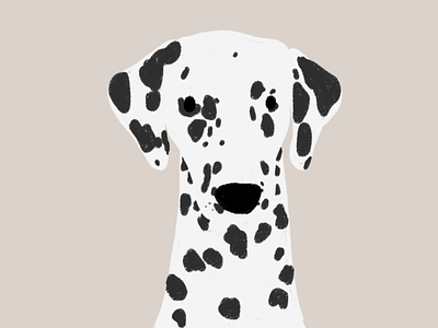 Dalmatian animals dalmatian dog dogs illustration procreate puppy spots