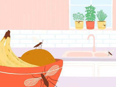 Gnats in the Kitchen apartment therapy bugs fruit fly gnats illustration kitchen