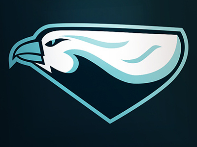 Falcon falcon logo sport logo team