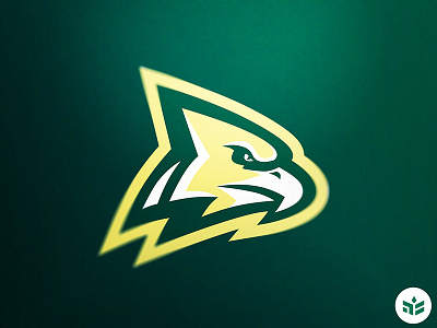 Hawk hawk logo sport logo team