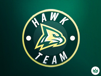 Hawk hawk logo sport logo team