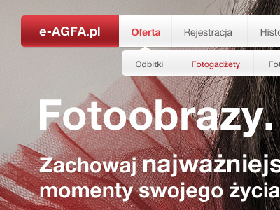 E-Agfa_1 web design