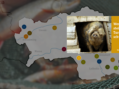 Map of austrian food austria blur food ipad map marker pig popover