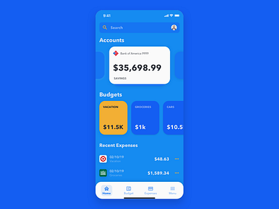 Budgeting App Concept