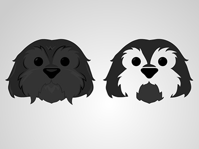 Meet Duncan black dog grey icon illustration puppy shih tzu terrier vector white