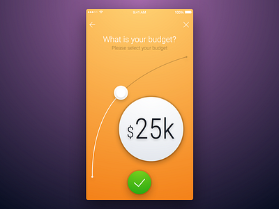 8th Week (Sunday) - What is Your Budget? app budget free mobile rondesign sketch themeforest ui