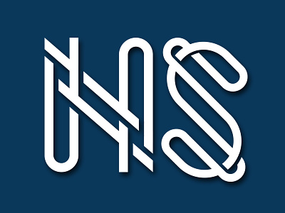 NS logo network schools ns