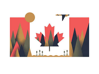 Canada canada goose illustration nature