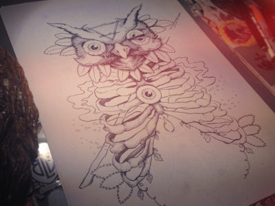 Split drawing eye illustration owl ribs