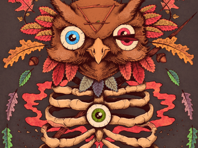 Split drawing eye illustration owl ribs