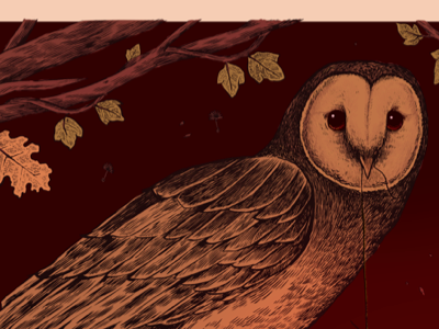 Hoot barn coven dark forest illustration leaves owl trees