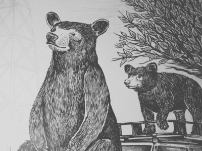 Awww abandoned bear bears car illustration ink inking nature tree