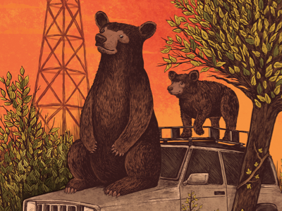 Popshot bear bears cub drawing illustration ink popshot sunset tree