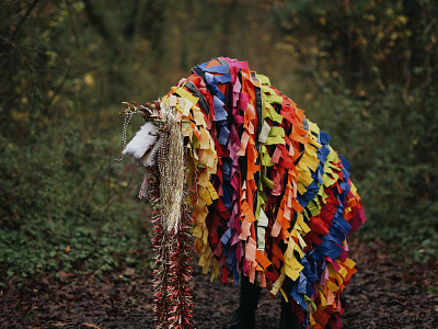 Capra capra costume design fabric folk art folk lore goat romania