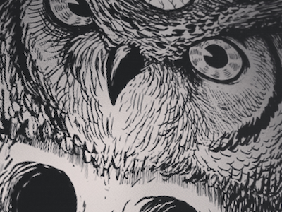 Hoot bird drawing feather illuminati illustration ink inprogress line obscure owl pen sketch