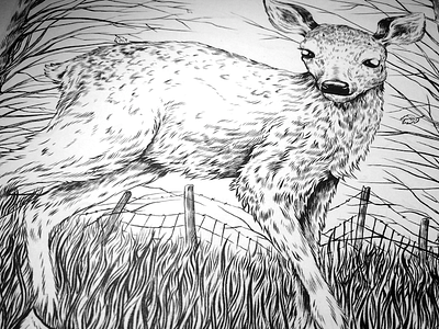 Bambi art craft deer detail drawing illustration ink nature pen wip