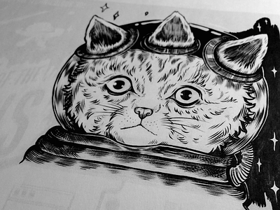 Kitteh astronaut cat cute drawing illustration ink kitten lolcat space wip