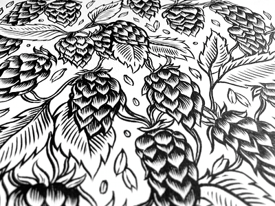 Hops art artwork beer hops illustration ink pattern plant wip
