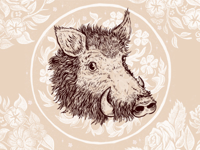 Boar boar drawing floral illustration ink old pattern pen print