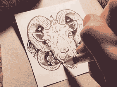 Goat art detail drawing goat illustration ink mini pen small wip