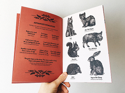 Zine animals art book design illustration romanian woodland zine