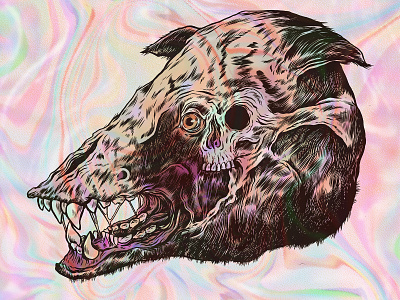 Shimmer annihilation creepy drawing illustration movie pen and ink sci fi skull