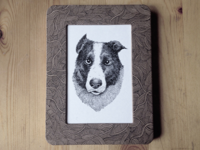 Fin border collie collie dog drawing illustration sheep dog