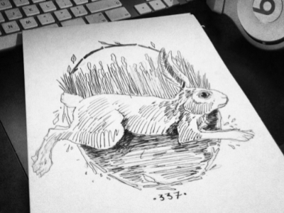 Sketchy 336 337 afi afireinside black illustration progress rabbit