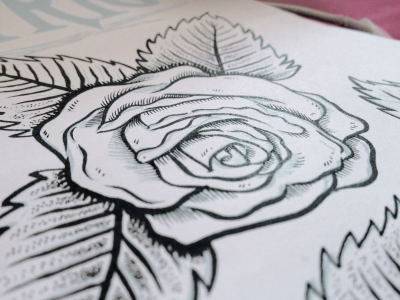 Close Up art brush illustration ink line paper pen rose tattoo traditional
