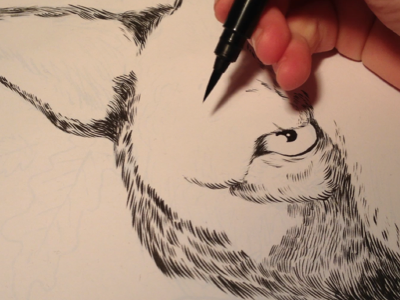 Inking drawing eye fox hand illustration ink line wolf
