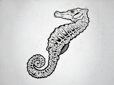 Seahorse