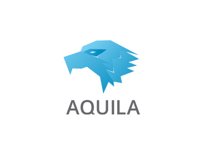 Aquila animal bird eagle face freeze logo mark solid wild