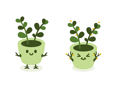 Cute Natural Plant Pot Monster