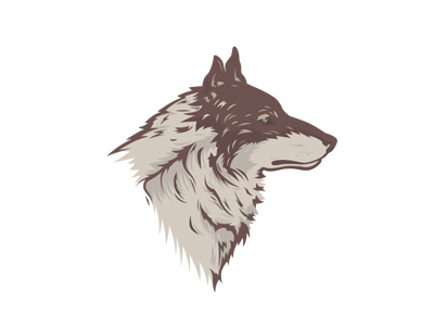 Wolf - Canis Lupus Italia animal detail dog draw face illustration logo mark wild wolf