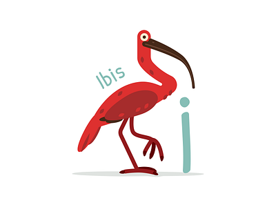 Animal Alphabet - Ibis alphabet animal bird children kid flat ibis illustration letter poster print red wildlife