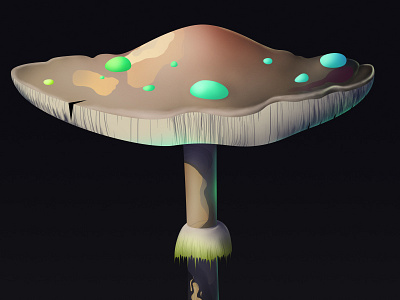 'Shroom illustration mushroom nature