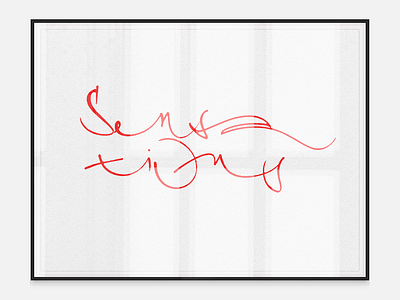 Sensations calligraphy handmade italic lettering type typography