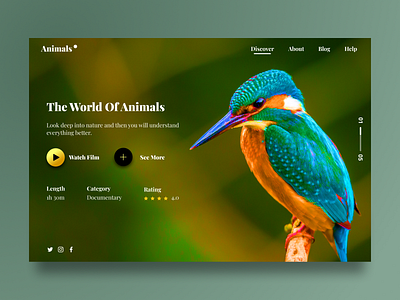 Animals - Website UI design