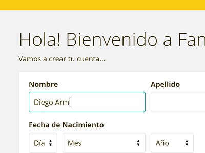 Website Redesign argentina clean form input ui ux