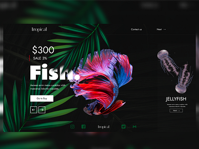 Fish animal design fish graphic design web