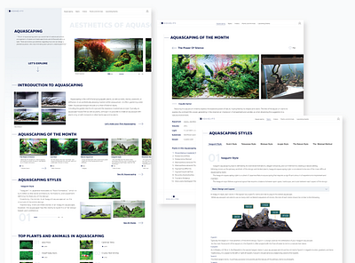 Aquascaping website design aquarium design figma ui web design website